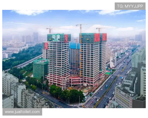 凯发集团网页版登录入口稳定性分析及优化建议全面解析